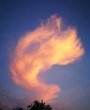 Alessandro - Reiki - Medium & Channeling - Karma Karmalösung - Hellsehen & Wahrsagen - Trauerbegleitung Alessandro - Reiki - Medium & Channeling - Karma Karmalösung - Hellsehen & Wahrsagen - Trauerbegleitung